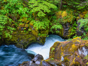 Umpqua National Forest