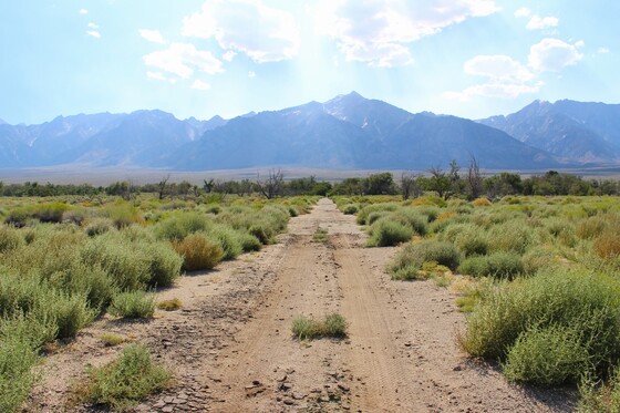 Manzanar National Historic Site