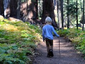 Sequoia National Park