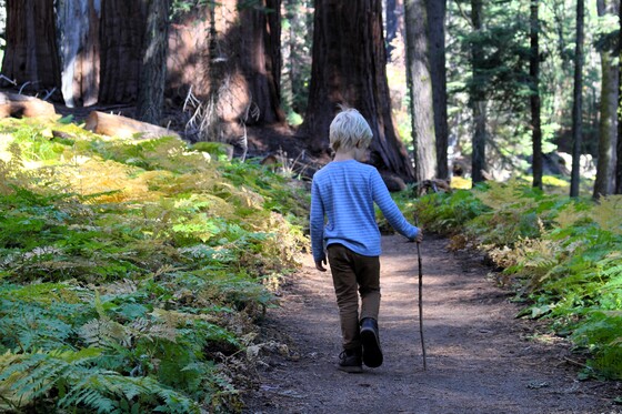 Sequoia National Park