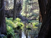 Sequoia National Park