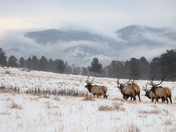 Rocky Mountain National Park