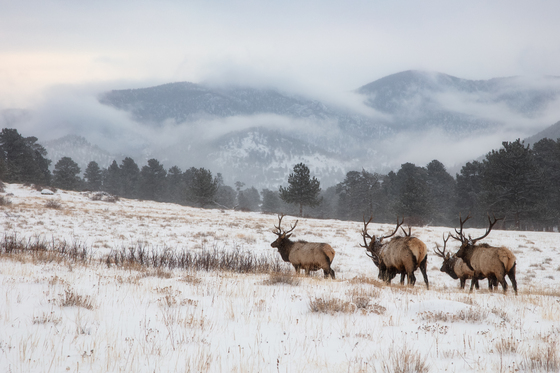 Rocky Mountain National Park