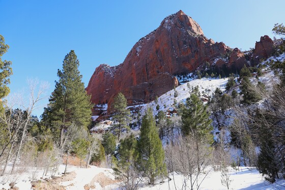 Zion National Park