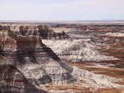 Petrified Forest National Park