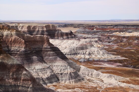 Petrified Forest National Park