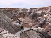 Petrified Forest National Park