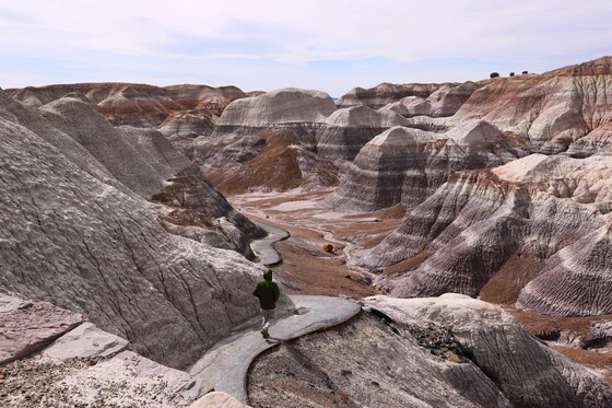 Petrified Forest National Park