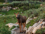 Brainard Lake Recreation Area