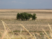 Sand Creek Massacre National Historic Site