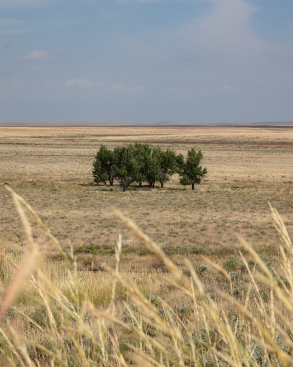 Sand Creek Massacre National Historic Site