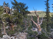 Great Basin National Park