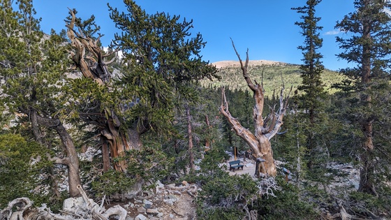 Great Basin National Park