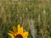Badlands National Park