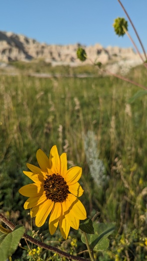 Badlands National Park