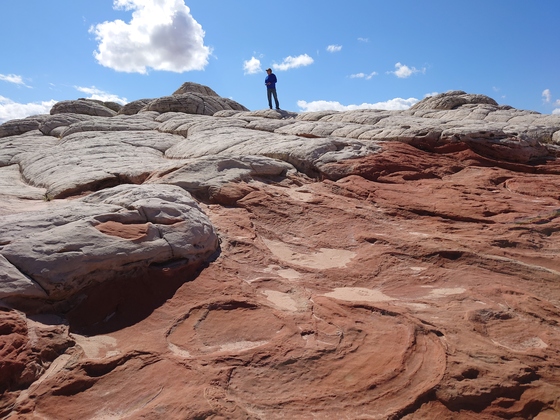White Pocket Trailhead