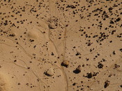 Bisti/De-Na-Zin Wilderness Area