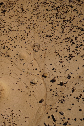 Bisti/De-Na-Zin Wilderness Area