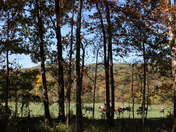Ozark National Scenic Riverways