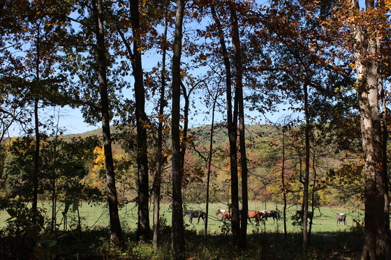 Ozark National Scenic Riverways