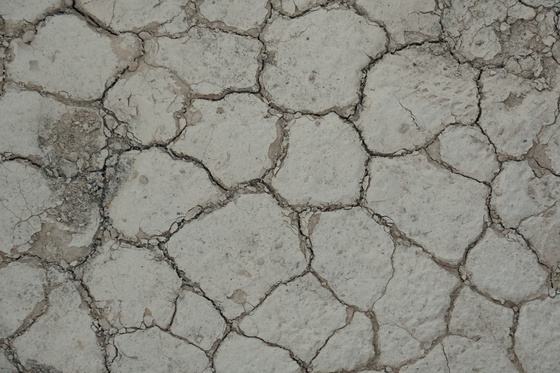 Bisti/De-Na-Zin Wilderness Area