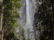 Yosemite National Park