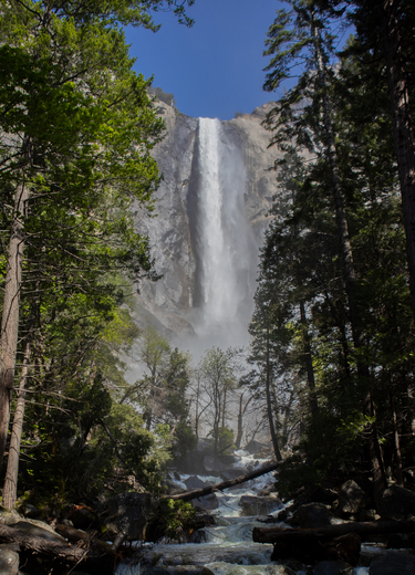 Yosemite National Park