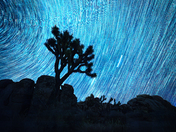 Joshua Tree National Park