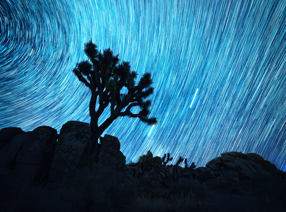 Joshua Tree National Park