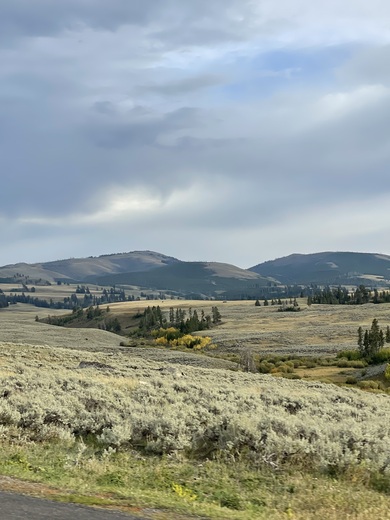 Yellowstone National Park