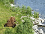 Katmai National Park