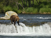 Katmai National Park
