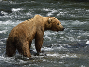 Katmai National Park