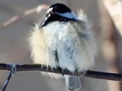 A little chilly today