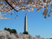 Washington DC Tidal Basin 