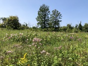 Indiana Dunes National Park