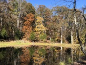 Prince William Forest Park