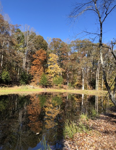 Prince William Forest Park