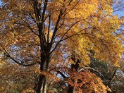 Piscataway Park