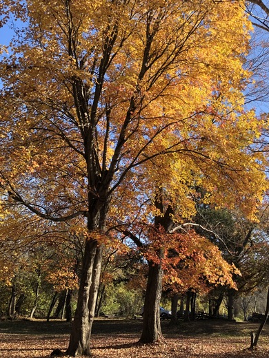 Piscataway Park