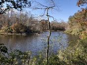 Prince William Forest Park