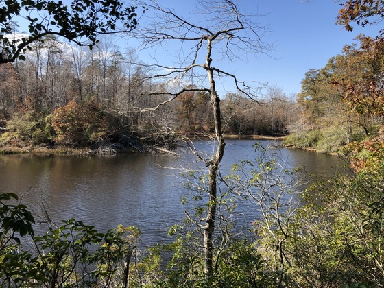 Prince William Forest Park