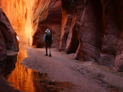 Vermilion Cliffs National Monument