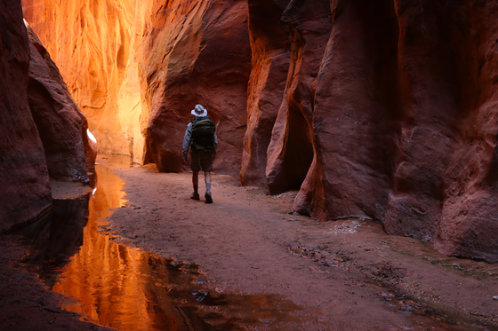 Vermilion Cliffs National Monument