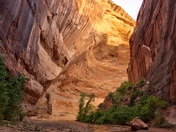 Glen Canyon National Recreation Area