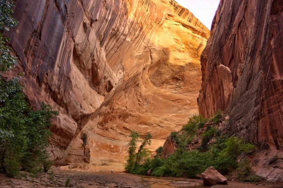 Glen Canyon National Recreation Area