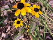 Patuxent Research Refuge