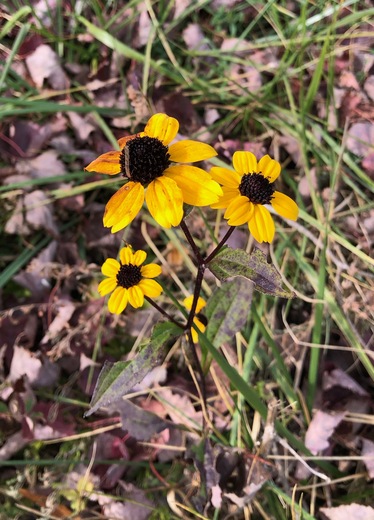 Patuxent Research Refuge