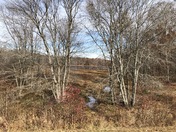 Patuxent Research Refuge
