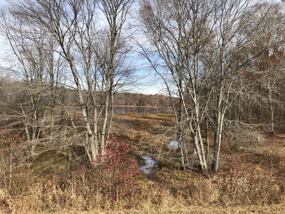 Patuxent Research Refuge